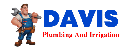 Trusted plumber in PEARSON